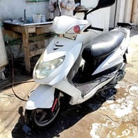 سكنس فحل • ياباني • مرقم