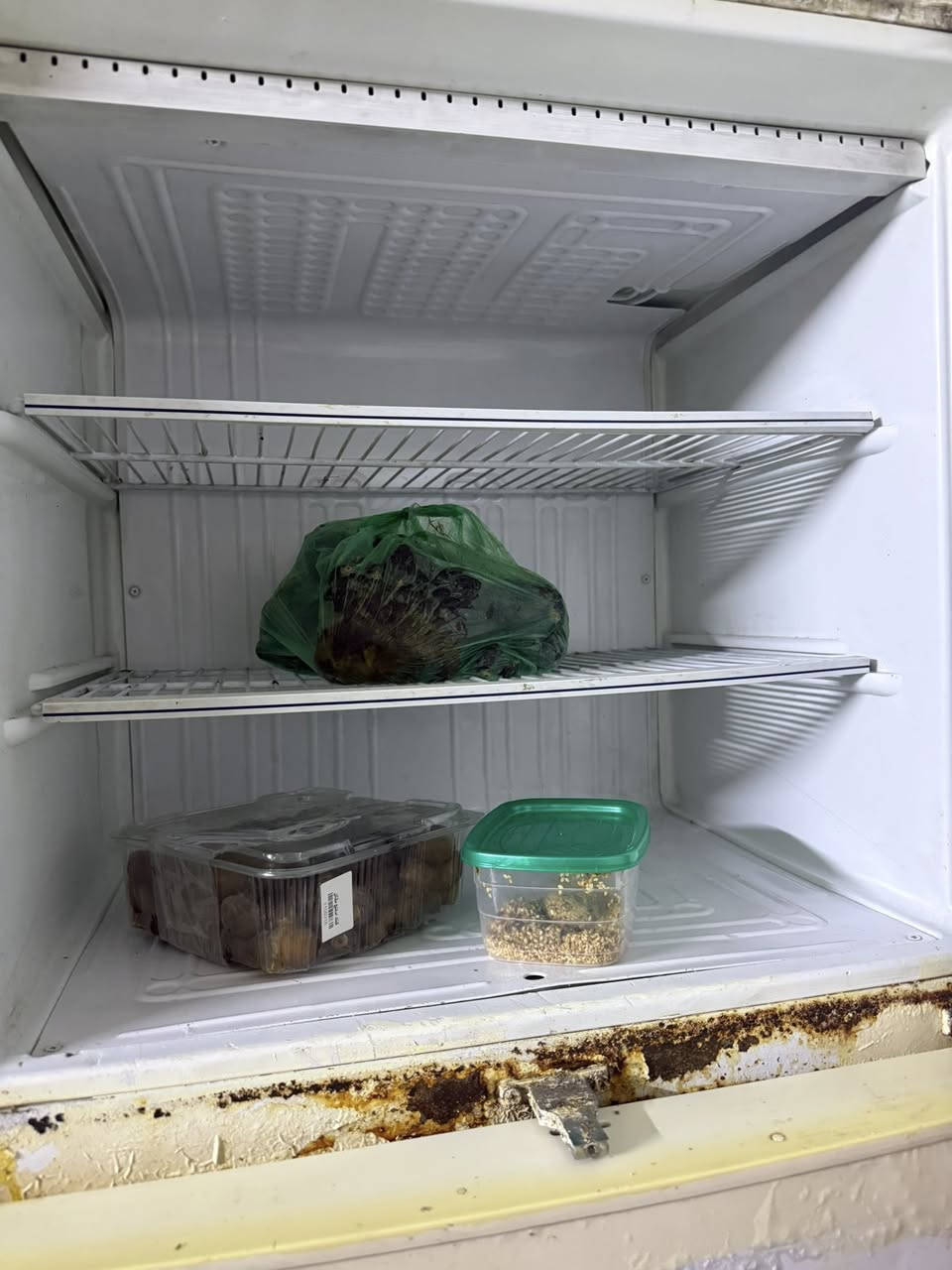 ثلاجة ريو شغاله تبريد بخاخ 75 الف هيه والتمر 😂


**إذا كنت صاحب هذا الإعلان وتريد حذفه لأي سبب، رجاءا أرسل رسالة إلى الدعم الفني**