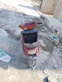 بزون • معمر • يحتاج سبرنك