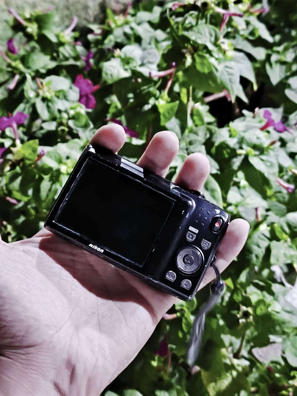 اعادة نشر بسبب الوعود الكاذبة 
ما تلكة هيج سعر 3 كامرات 
Nikon coolpix s3100 مع كامرة لومكس نقص بطارية و    كامرة تجارية فحم تاخذ شحن وما تشتغل 
الكامرة النيكون نضيفة بيهة فقط مشكلة وحدة 
 * بيهة مشكلة فقط من تشغلهة لازم تسحب الزوم شوي هذا الخلل فقط وما ماثر على اي شي بالكامرة لا زوم ولا تصوير كل شي شغال 
* مع سلك شحن للكامرة 
( السعر 60 مع التوصيل قفللل )
اذا تريد تشوف تصويرهة تعال خاص + صورة البروفايل من تصويرهة


**إذا كنت صاحب هذا الإعلان وتريد حذفه لأي سبب، رجاءا أرسل رسالة إلى الدعم الفني**