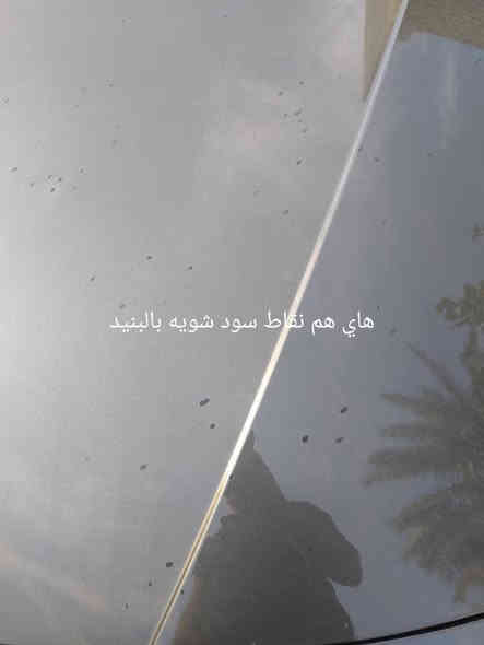 السلام عليكم النترا هايبرد بلو 2024 وارد امريكي 
دخول جديد بسمي 
مواصفات:
ماشيه 2000  يعني زيرو/شاشة دجتل/بصمه 
تشغيل عن بعد /اناره ترحيب عند الاقتراب /تحكم ستيرن جهتين /مثبت سرعه/سماعات بوس/اوتو هولد 
هاند بريك دكمه خزن ميموري 
ثلاث أنظمة قياده 
حادث  موضح بالصورة صبغ على كد شبر + 
تبديل دعاميه نفس الون
إرباك دركه ضارب فقط 
راديترات+ماء شركه  **  بعدها بدهن الشركه 
بدون رقم تترقم بظرف يوم واحد  
السعر..... 168 وبيها مجال//مكاني بغداد 
الرقم//‏‪0786 009 4405‬‏ بغداد
