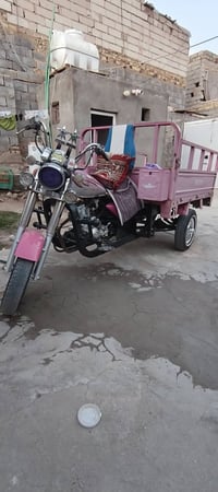 ستوته للبيع مواليد 17 أوراق ابن جبرين تايرات جدد صبغ شاصي جدد دبلات جد...