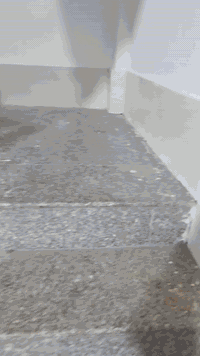 شارع ميثم تمار • ١٢٥م • للطلاب