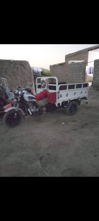 ستوته نضيفه • موديل 19 • رفاعي