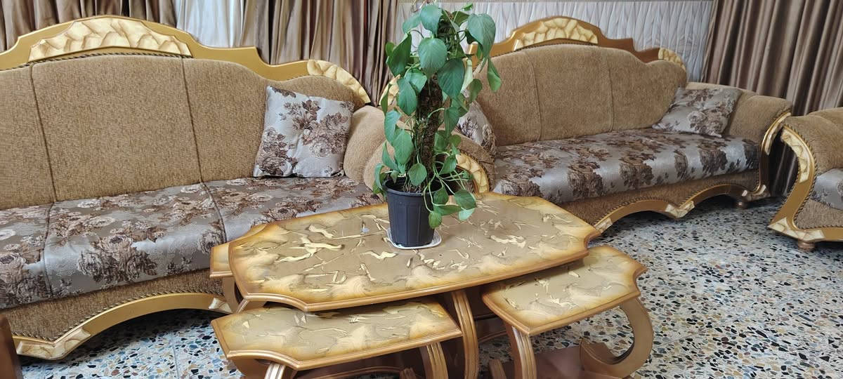 سلام عليكم تخم ملكي نضيف ٤ كوشات ١٠مقاعد ٤متحركة طبلة كبيره و٤ صغيره المكان بغداد
ثعالبة *********** السعر ٧٠٠وبي مجاب
