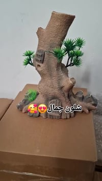 كلش حلو • ديكور
