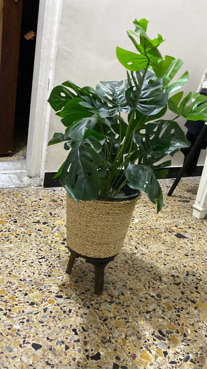 سلام عليكم أغراض البيع العنوان أبو دشير


**إذا كنت صاحب هذا الإعلان وتريد حذفه لأي سبب، رجاءا أرسل رسالة إلى الدعم الفني**