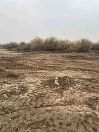 قطعة أرض • يم دائره الكهرباء • ٣٠٠م