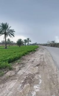 يتوفر دوانم طابو ملك صرف المدائن منطقة الجعاره تبعد عن الشارع الرئيسي ...