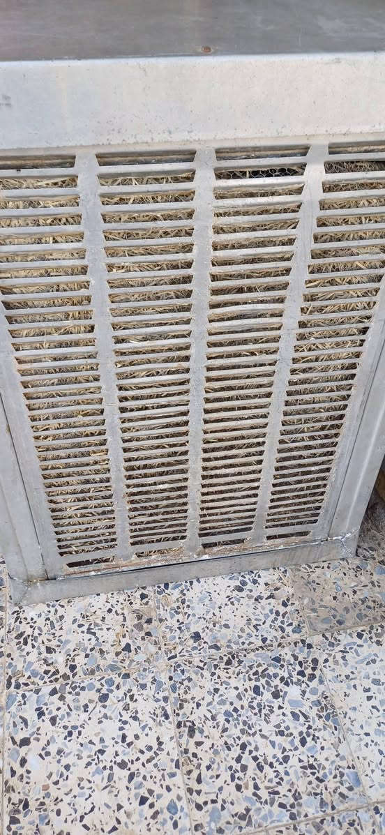 مبرده فافون للبيع سرعات شغالات ماطور نحاس لليف موجود بيها للاستفسار هذا رقمي ***********
