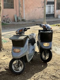 نفخ • بز • نظافة