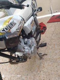 سونك 2025 • 200سيسي • كفالة عامة