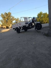 ستوته • مديل ١٥ • سوق الشيوخ