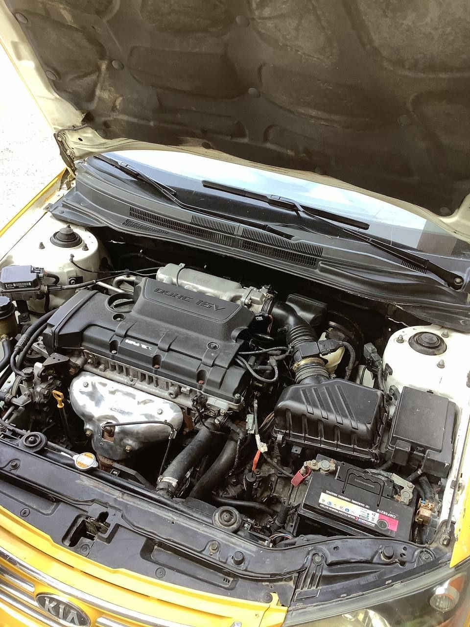 كيا سبكترا مكفوله من الضربه سياره جديده محرك وكير شرط حاويه اني صبغتها كانت خصوصي لونها ابيض الاصلي ليبل واحد كل السياره السعر ٨٣وبيها مجال ***********
