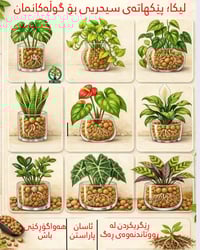 خلطة سحرية • زهور • تسميد