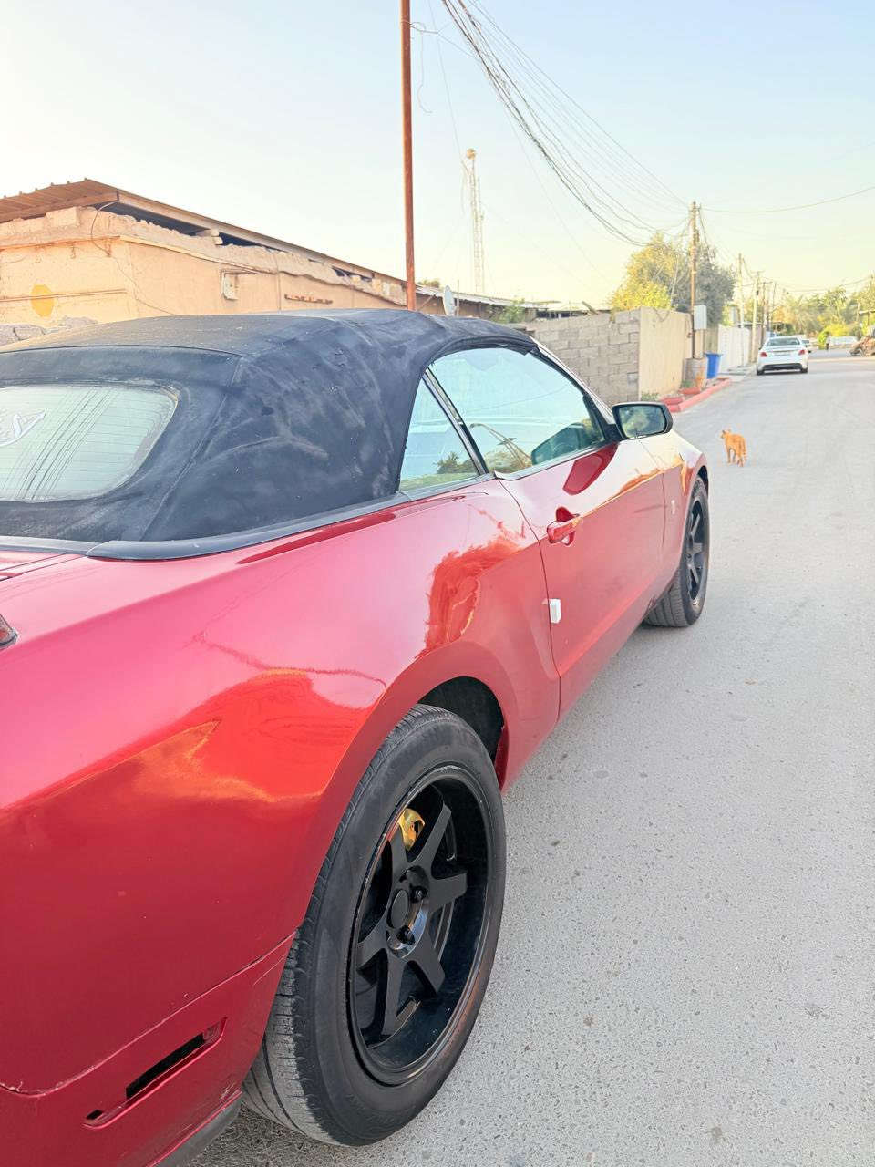 السلام عليكم موستنك للبيع موديل 2010 جاهزه كير مكينه كله جاهز تخم تاير نضيف حادثه جاملغ خلفي بيهه صبغ حزام كلهه شغاله سنويه جديده بسمنه تحويل ثاني يوم السعر ٦٣ وبيه مجال قليل عنوانهه بغداد التاجيات رقم الهاتف ***********
