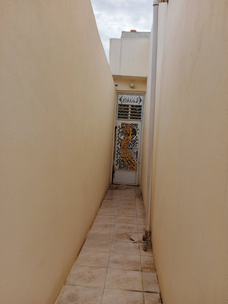 @إشارة@إشارةيوجد لدينا مشتمل مساحه 125متر ملك صرف للبيع في منطقة سيف سعد الغالبية مدخل شارع معمل الغاز ثاني فرع عن شارع العام السعر 48 ؤبيه مجال للشراي البيت كلش نضيف وسعره مناسب ***********
