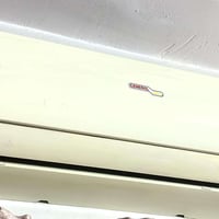 جنرال • ١ طن • مستعمل