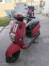 ماكس بوليسي • حاوية ع الفحص • النجف