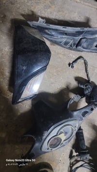 شباب غراض سكنس فحل تفصيخ كلمن وسعره واكو بيهن فشكه مال ماكس عدله هيه و...