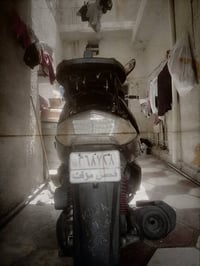 سكنس فحل • اوراق تحويل • مامفتوحة