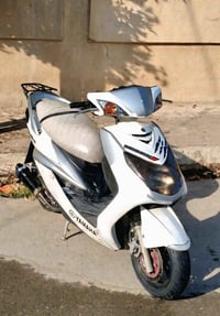 سكنس فحل • ١٤٠ • نوزل فول