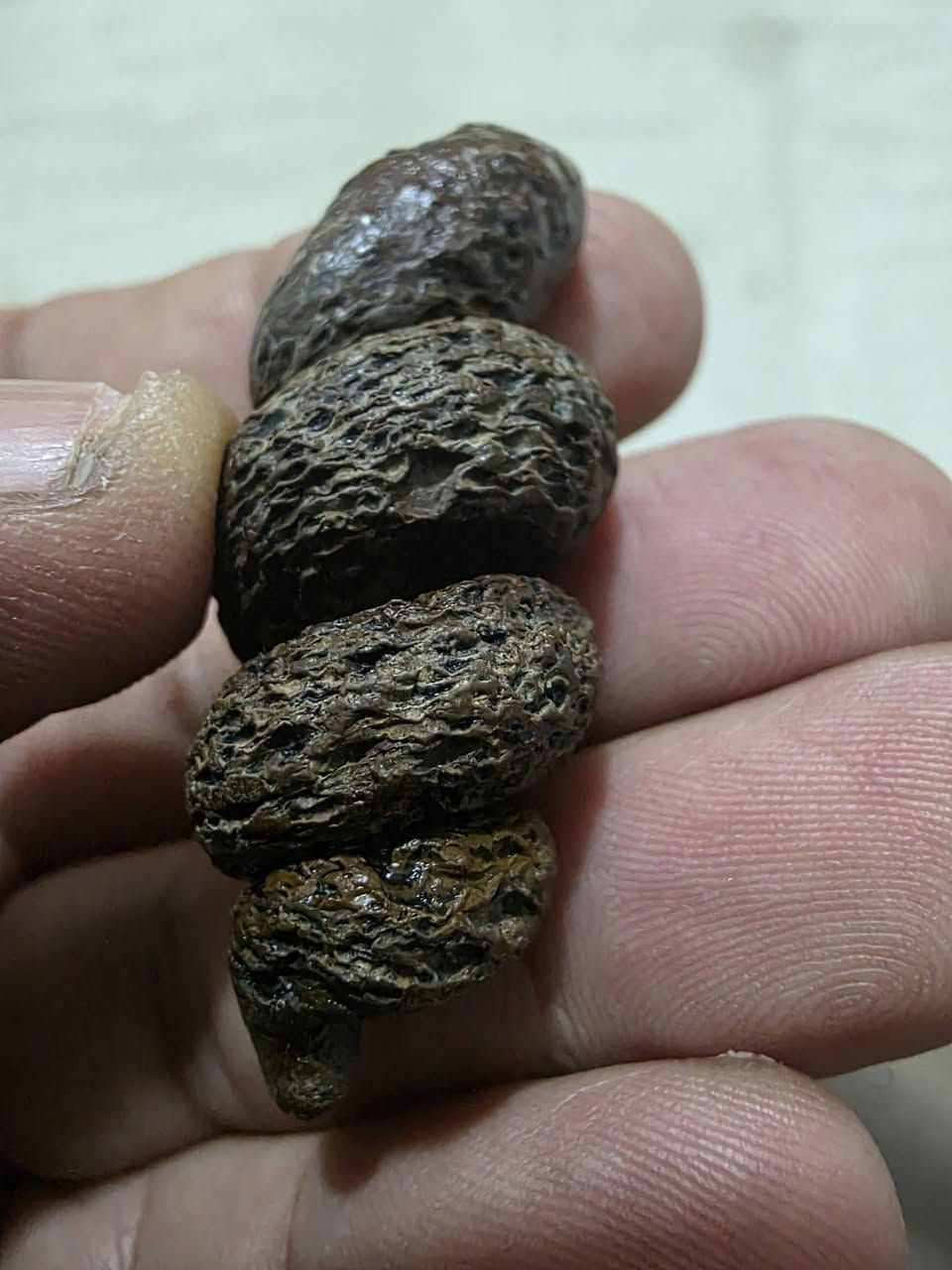 لوي بحري


**إذا كنت صاحب هذا الإعلان وتريد حذفه لأي سبب، رجاءا أرسل رسالة إلى الدعم الفني**