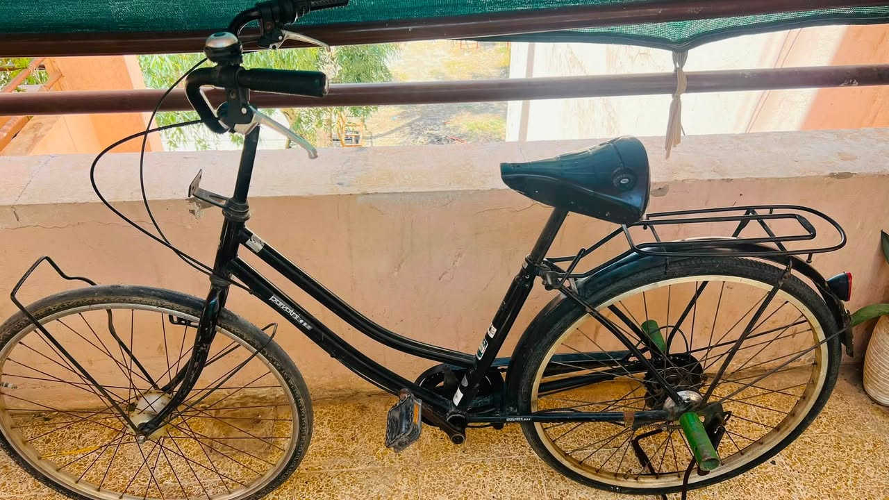 باسكل للبيع حجم 26 كلشي شغال بس الكير يرادلو قمجه ادفع سعر إذا عجبني ابيعك مو شراي لا تجي خاص


**إذا كنت صاحب هذا الإعلان وتريد حذفه لأي سبب، رجاءا أرسل رسالة إلى الدعم الفني**