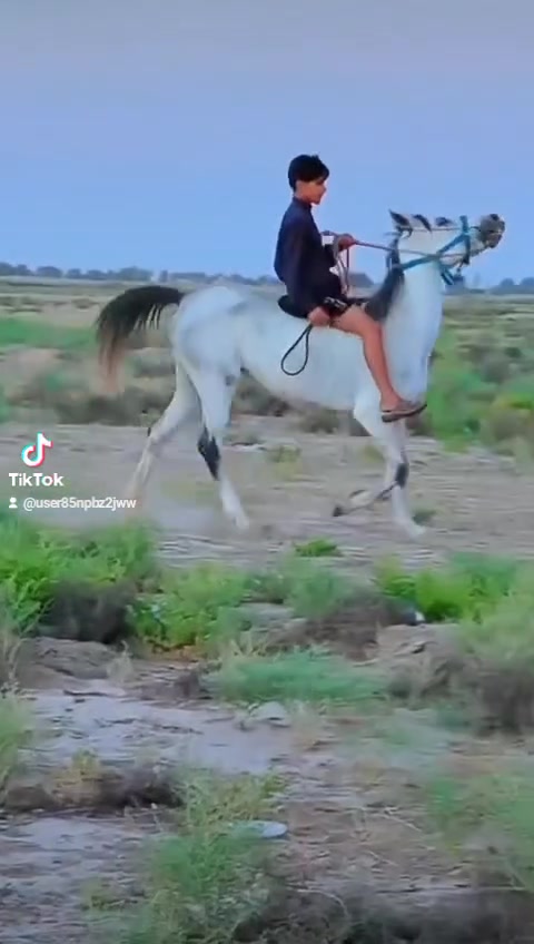 يالله اللهم صلي عله محمد فرس عربيه معروفه خياله فول طراد راس وشليل سالمه عله كل عذروب شرط الخياله  رتفاع 150كفاله مراوس ترهم المكان بابل سعر مليون وربع وبيه مجال
***********وتس
***********واتساب
يالله اللهم صلي عله محمد فرس عربيه معروفه خياله فول طراد راس وشليل سالمه عله كل عذروب شرط الخياله  رتفاع 150كفاله مراوس ترهم المكان بابل سعر مليون وربع وبيه مجال

يالله اللهم صلي عله محمد فرس عربيه معروفه خياله فول طراد راس وشليل سالمه عله كل عذروب شرط الخياله  رتفاع 150كفاله مراوس ترهم المكان بابل سعر مليون وربع وبيه مجال
