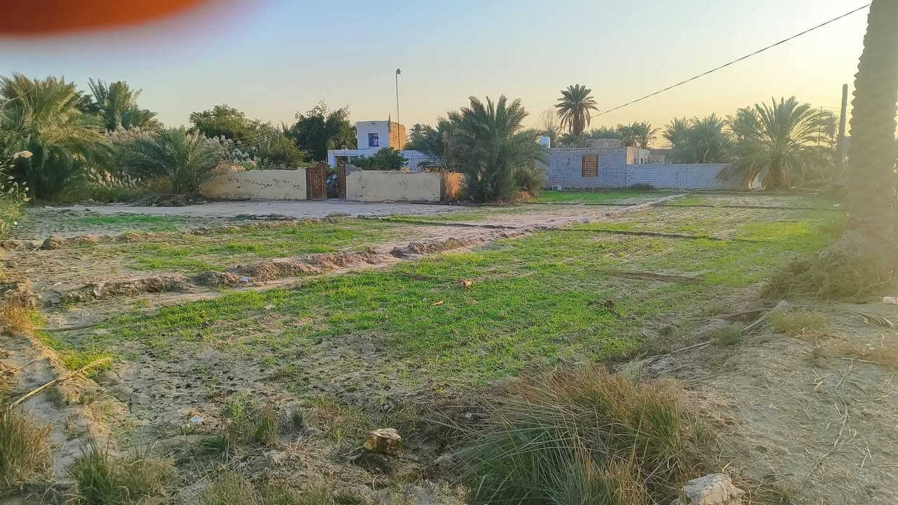 السلام عليكم
قطعة أرض للبيع طابو اسود بستنة المساحة دونم(2500  متوفر جميع الخدمات المكان الرميثة منطقة الصويحية ؟

#للاستفسار ***********
