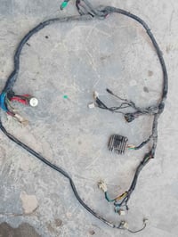 ضفيره ماكس • عدله • شغاله