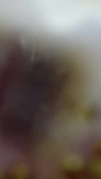 بكج عروس • حسب الطلب • تجهيز عروس