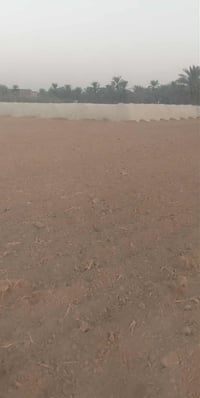 اللطيفيه خلف الإسراء • دونم عقد ١١٧ • زراعي