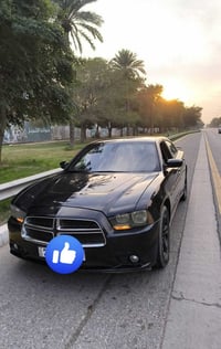 جارجر 12  رقم اربيل بأسمي مصبوغه حزام للجماليه جان بيها جراد صاعده رصي...