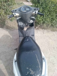 دراجة ماكس • فحل • قرب جوهره بغداد