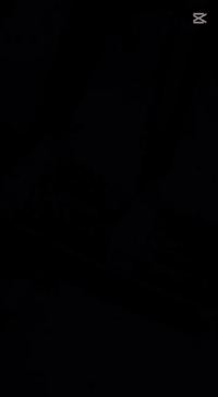 سيفان سونك • موديل 24 • مكينة 200