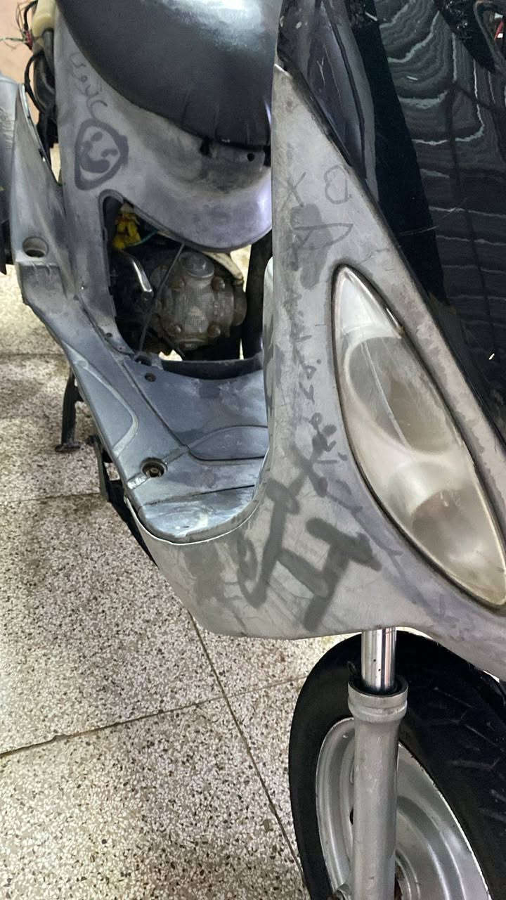 للبيع ماكس منغولي 55
مكانك ناصريه سوك الشيوخ ***********
