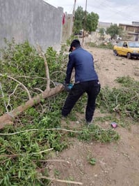 قطع أشجار • تقليم حدائق • بكاني بغداد