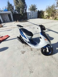 ماكس منغولي • جديد • صبغ حراري