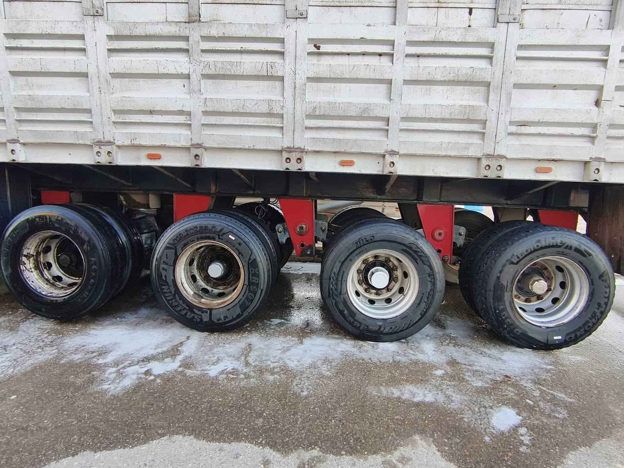 مكلف بالنشر 

***********

***********
