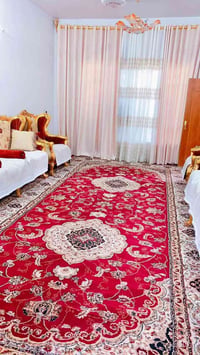 عندي تخم  ملكي للبيع نظيف كلش مستخدم قليل  نوع مصري الاستفسار مراسلة ا...
