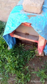 خليه نحل البيع 07709116568