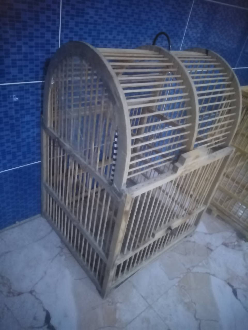 عندي هذولا القفصين للبيع ثنينهم ب 55وبيهم مجال الصغير ب 10والاكبر ب 50 وبيهم مجال قليل


**إذا كنت صاحب هذا الإعلان وتريد حذفه لأي سبب، رجاءا أرسل رسالة إلى الدعم الفني**