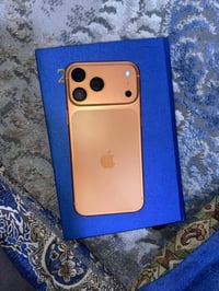 آيفون ١٧ برو ماكس • ٢٥٠ • شريحة إلكترونية