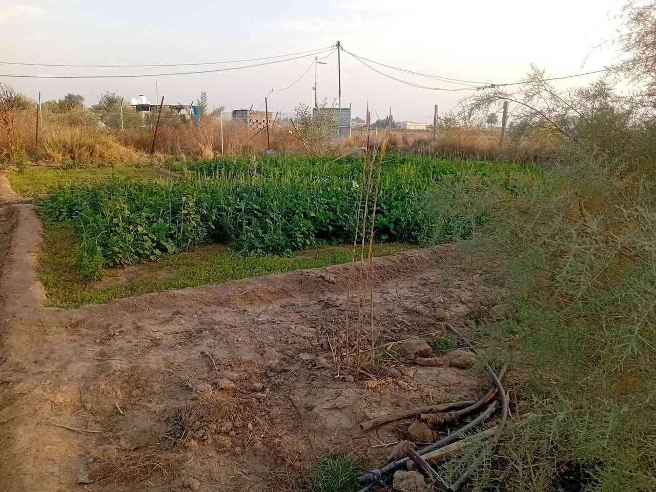 دونم سياحي استثماري في اليوسفيةبيرالحمام فيةثلاث حقول دواجن ثنين جاهزات وواحد بدون سقف مع دار ٩٠ متر كامل مع غرفةمولدات ومنضومة طاقة شمسية١٠ امبير مع كهرباءثري فيز مع ماء اسالة وبجانب ساجية السعر ب١١٠ وبيةمجال اتصل***********ابوعبداللة واتساب
