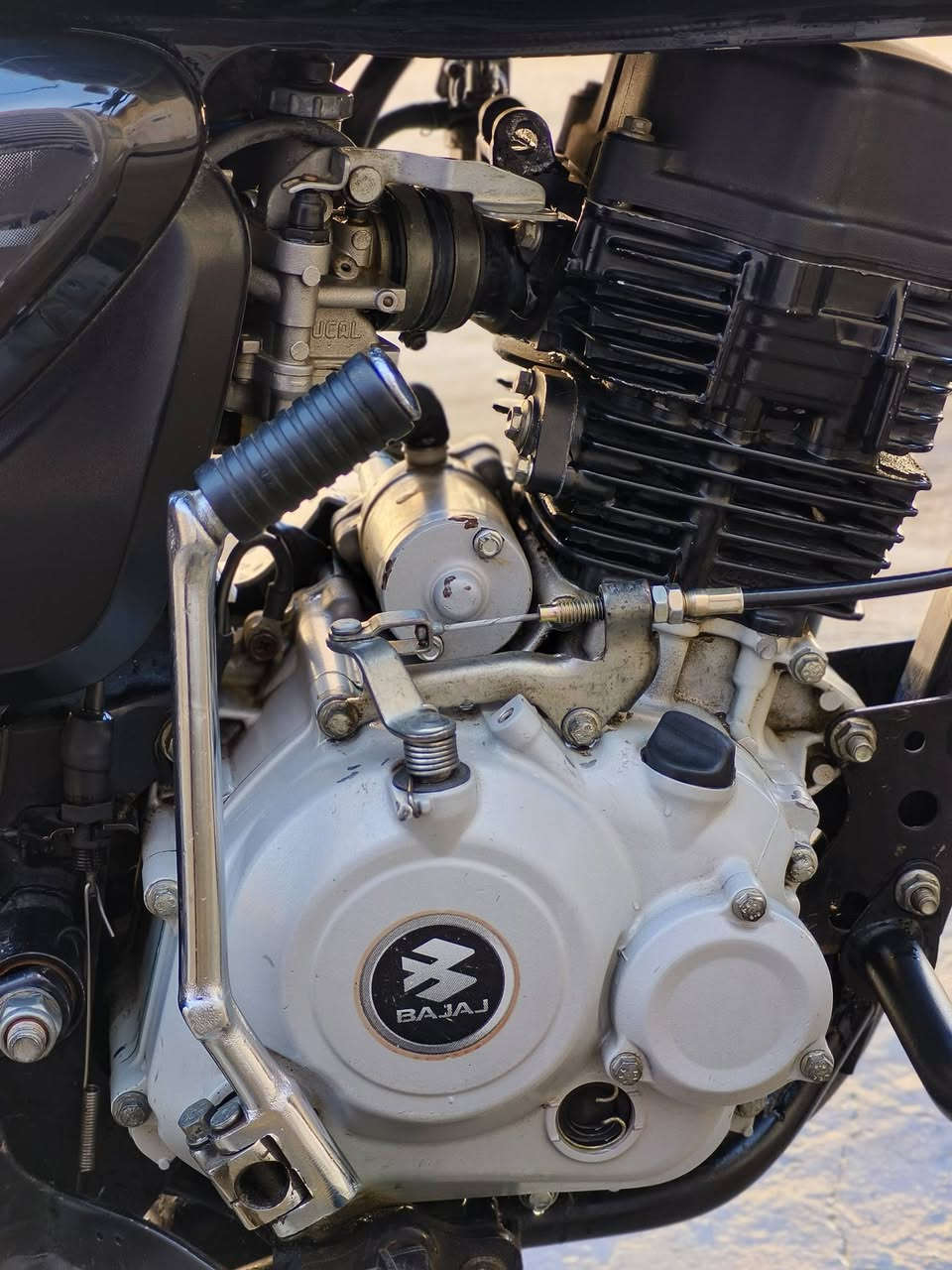 السلام عليكم
بوكسر2022-2021
الدراجه اوراق اصولي 7 اوراق
الدراجه مناقصه شي كله كامل لايت عالي ناصي اشاير دبر اشاره سلف هندر باتري جديد بصمه تغشيل عن بعد جهاز انذار سرقه كيجات شغاله 
الدراجه مفتوحه بس ممأثره ع اي شي والدراجه خير من الله 
مكاني كربلاء طويريج***********
السعر1150
