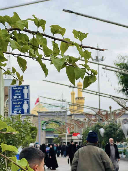 الخميس إلى🕋 كربلاء المقدس 🕌
🪬🪬🪬🪬
الذهاب الساعه 1ضهر☀️
والعوده ساعه 9مساء🌌
📿🪬
مكان التجمع 
المهناويه قرب دائرة الكهرباء
الصلاحيه قرب شارع للمدارس
الشاميه قرب التربيه
ولاستفسار الاتصال على رقم 📞☎️
اتصل***********
*********** وتساب
وباص مكيفه بلكامل 🥶🥶🥶

كل هاذه 💵💸 بسعر 5الف
والتوفيق الجميع انشالله
