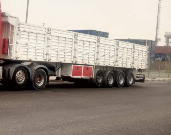 عربانه للبيع تريله عراق موديل 2025 فصخ وربط سليمانيه مكلف بل نشر اتصل عل رقم ‏‏‪***********‬‏
