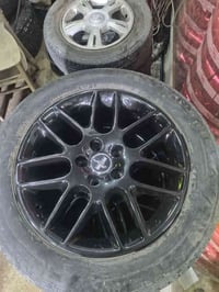 تخم ويل كب حجم ١٨ موستنك اصلي اخو الجديد للبيع او مراوس مكاني بغداد ٠٧...