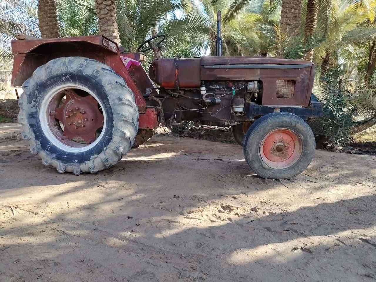 السلام عليكم عنتر للبيع رقم وسنويه بسمي تحويل ثاني يوم ***********
